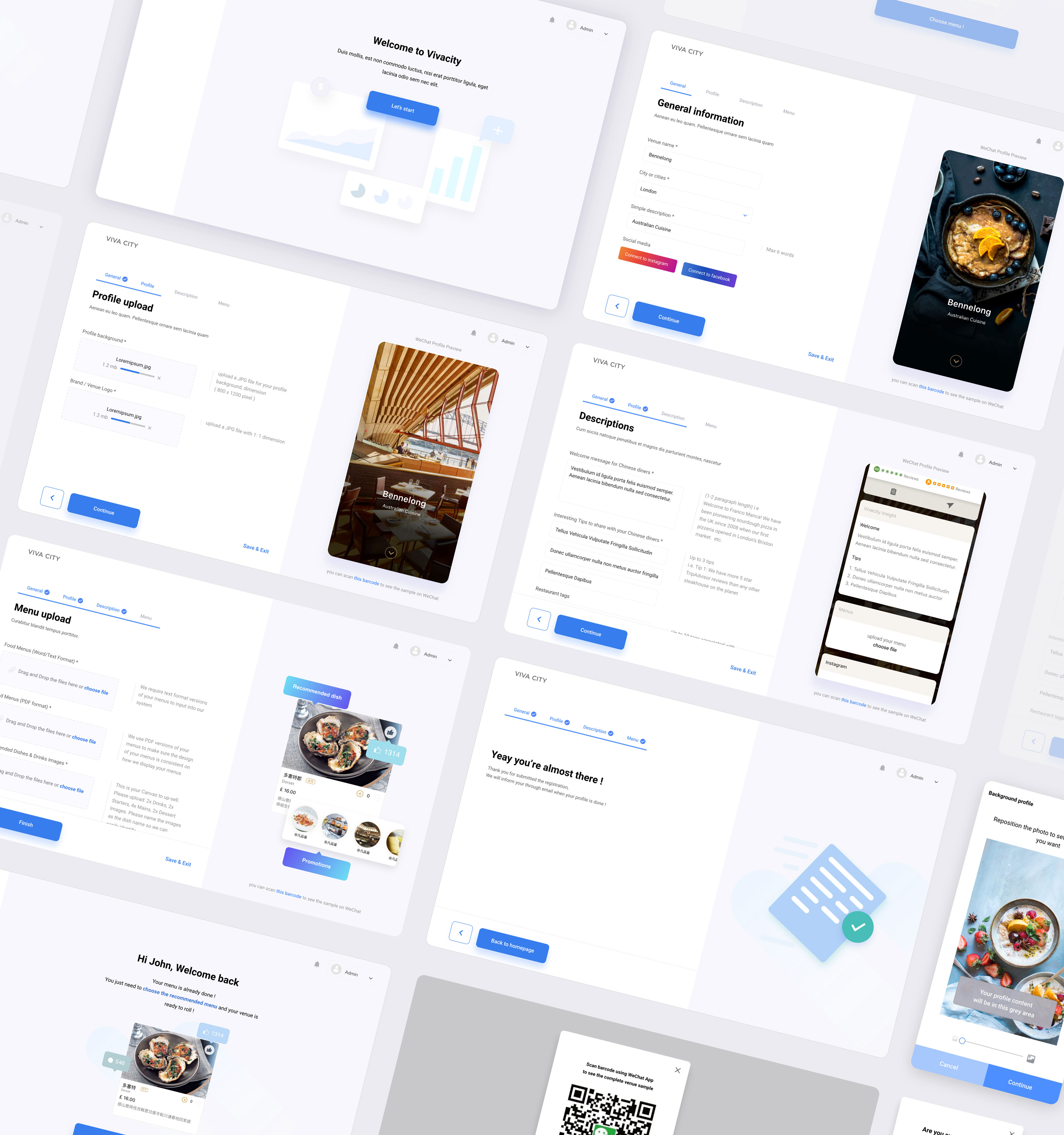 Vivacity introduction pages